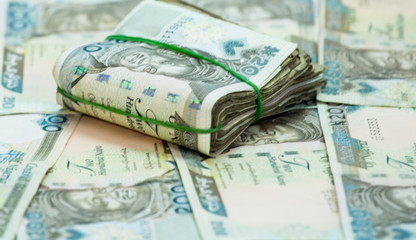 Rolls and Bundles of Naira Cash local currencies in a pyramid heap