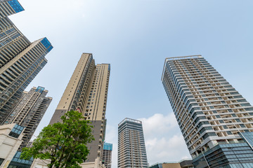 Fototapeta premium Buildings in Zhanjiang City