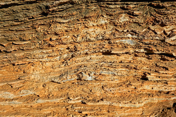 Stone texture as the background, close-up images