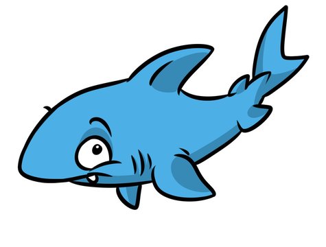 Shark fish animal character cartoon illustration isolated image