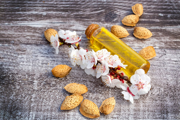 Apricot flower, almond oil on the wooden background