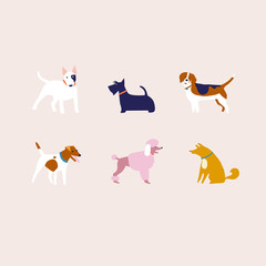 Breed of dogs illustration in vector