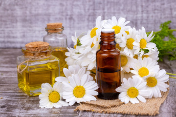 Essential oil in glass bottle with fresh chamomile flowers, beauty treatment.