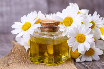 Essential oil in glass bottle with fresh chamomile flowers, beauty treatment.