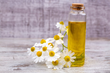 Essential oil in glass bottle with fresh chamomile flowers, beauty treatment.