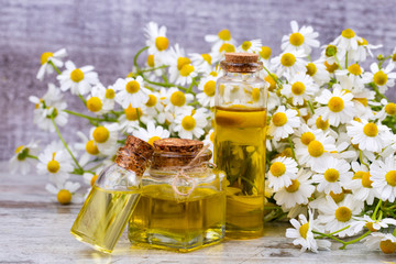 Essential oil in glass bottle with fresh chamomile flowers, beauty treatment.