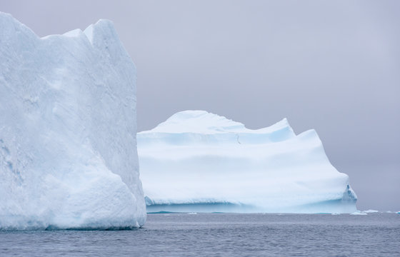 Two Large Icebergs Afloat in the Southern Ocean