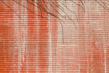 Muro di piastrelle rosse con ombre