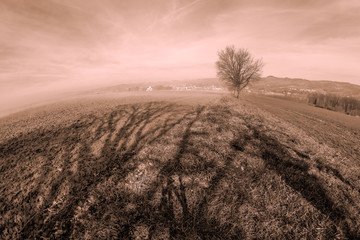 Blick von Whilering nach Ottensheim in Oberösterreich im Morgennebel