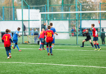 Football training for kids. Boys in blue red sportswear on soccer field. Young footballers dribble and kick ball in game. Training, active lifestyle, sport, children activity concept 