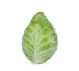 cabbage on white background