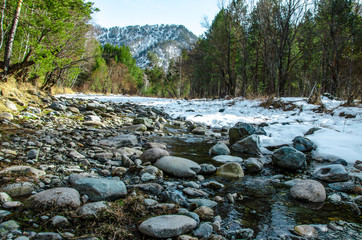 Spring nature of Altai Mountains