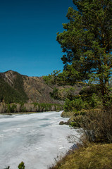 Fototapeta na wymiar nature of the Altai mountains in Chemal district