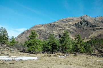 nature of the Altai mountains in Chemal district