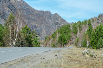 nature of the Altai mountains in Chemal district