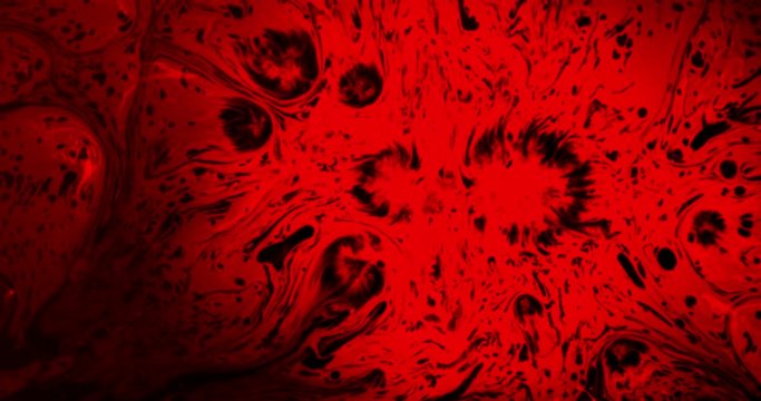 Emergency Blood Analysis. A drop of red ink drops on black paper and spread over it, creating a very nice spot with a stains. Filmed at a speed of 120fps