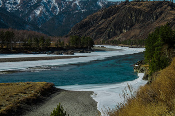 nature of the Altai mountains in Chemal district