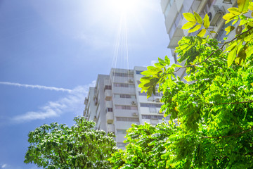 green eco building outdoor apartment with tree and clear blue sky.