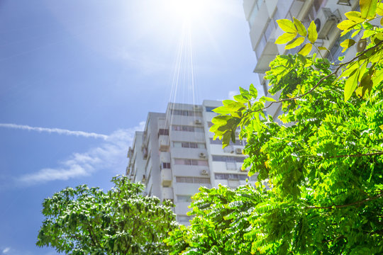 Green Eco Building Outdoor Apartment With Tree And Clear Blue Sky.