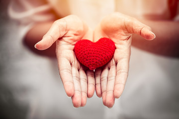 giving heart concept, beautiful love and share on girl hands.