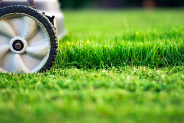 Lawn mower cutting green grass