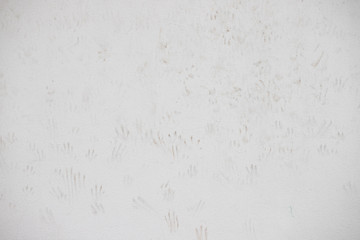 cat footprints on concrete wall background and texture. dirty white cement wall.