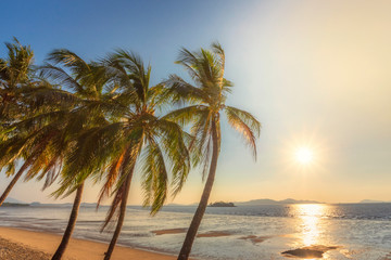 Obraz na płótnie Canvas Sunset, Beautiful Sweet coconut palm trees farm against background in Tropical island Thailand. fresh coconut on trees at Andaman sea, Ranong estuary, Thailand :Vintage tone, Warm tone
