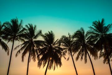 Fototapeta na wymiar Sunset, Beautiful Silhouette Sweet coconut palm trees farm against background in Tropical island Thailand. fresh coconut on trees at Andaman sea, Ranong estuary, Thailand :Vintage tone, Warm tone