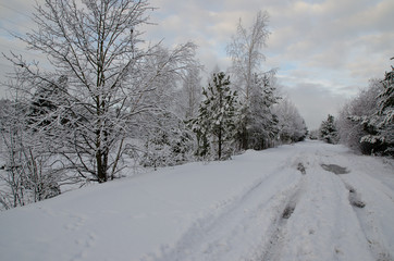 road in winter forest