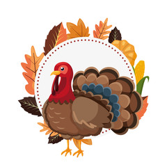 happy thanksgiving celebrate