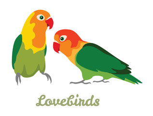 Lovebirds isolated on white background. Vector illustration of inseparable parrots in cartoon simple flat style.