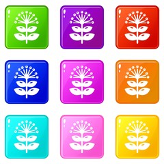 Fototapeta na wymiar Honey plant icons set 9 color collection isolated on white for any design