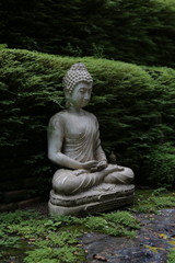 White color buddha sculpture in the green brush