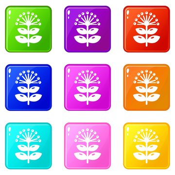 Honey plant icons set 9 color collection isolated on white for any design