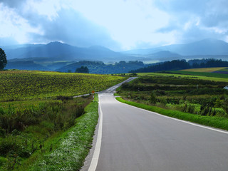 北海道の一本道