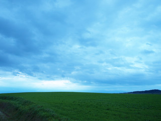 Fototapeta na wymiar 北海道の畑