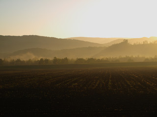 Fototapeta na wymiar 朝靄の畑