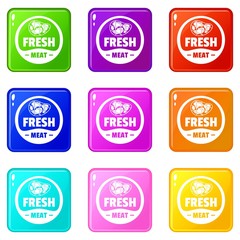 Fototapeta na wymiar Eco fresh meat icons set 9 color collection isolated on white for any design