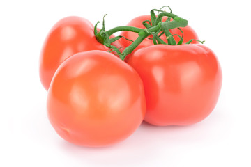 Tomatoes Isolated on White Background.