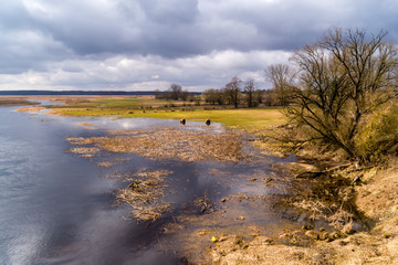 Narwiański Park Narodowy. Wiosna na Podlasiu. Rzeka Narew © podlaski49