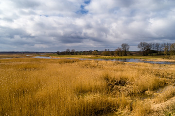 Narwiański Park Narodowy. Wiosna na Podlasiu. Rzeka Narew