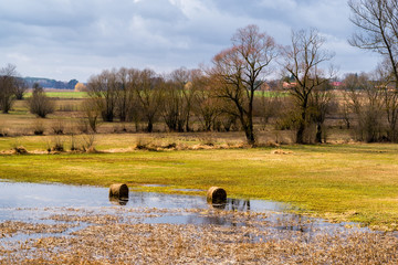 Narwiański Park Narodowy. Wiosna na Podlasiu. Rzeka Narew