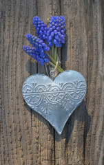 spring blue flowers hung on an iron heart on a rustic board