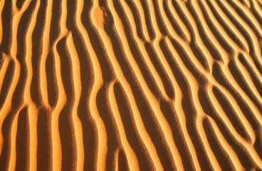Ripples in the beach sand