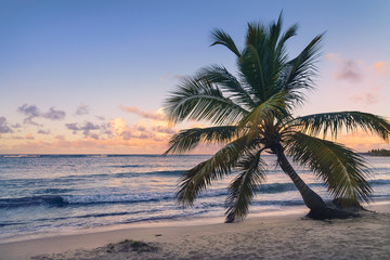 Obraz na płótnie Canvas Travel vacation tropical destination.