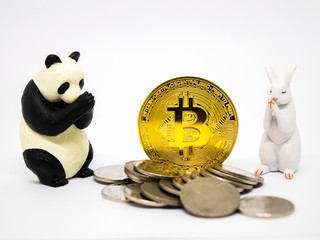 Rabbit and panda figures praying for bitcoin