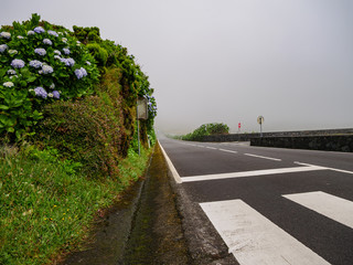 Image of mystic foggy road on the azores, portugal, europe