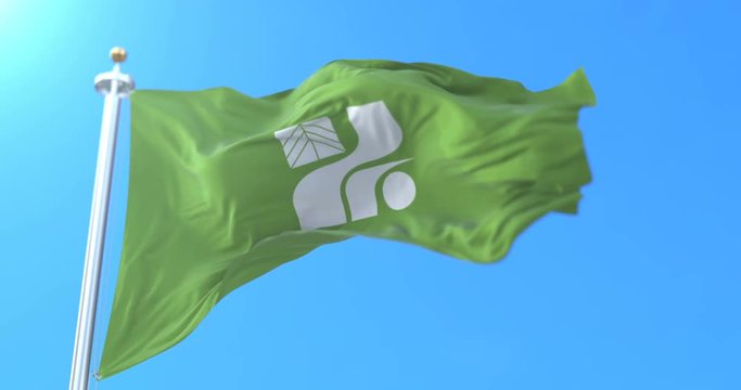 Flag of Tochigi Prefecture japanese, Japan. Loop