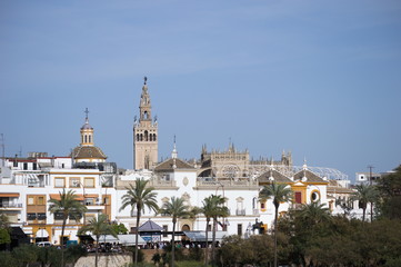 Fototapeta na wymiar Cathedral and Giralda of Seville, Spain