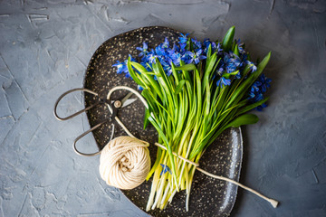 Spring table setting with scilla siberica - obrazy, fototapety, plakaty
